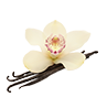 VAINILLA